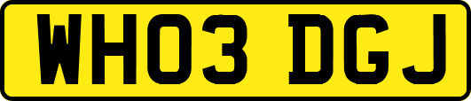WH03DGJ