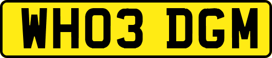 WH03DGM