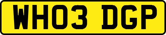 WH03DGP