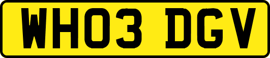 WH03DGV