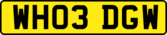 WH03DGW