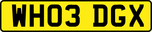 WH03DGX
