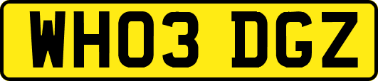 WH03DGZ