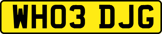 WH03DJG
