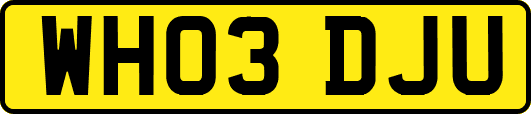 WH03DJU