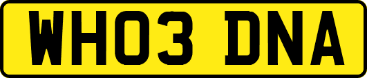 WH03DNA