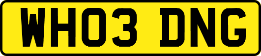 WH03DNG