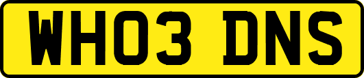 WH03DNS