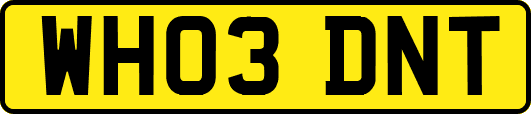 WH03DNT