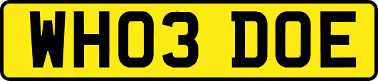 WH03DOE