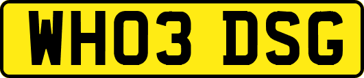 WH03DSG