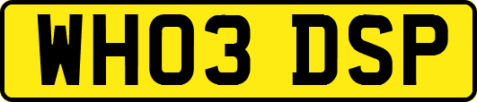 WH03DSP