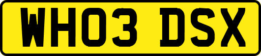WH03DSX