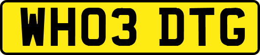 WH03DTG