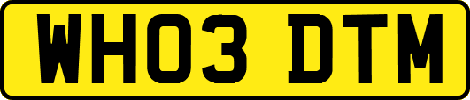 WH03DTM