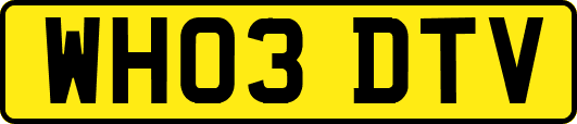 WH03DTV