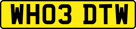 WH03DTW