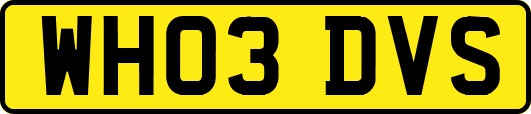 WH03DVS