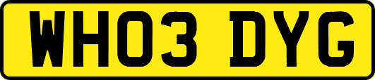WH03DYG