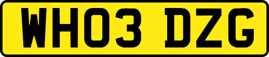 WH03DZG