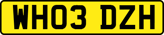 WH03DZH