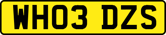 WH03DZS