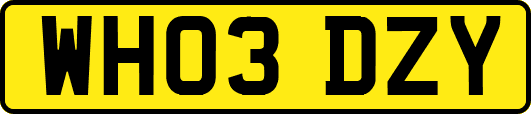 WH03DZY