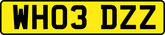 WH03DZZ