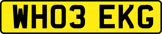 WH03EKG