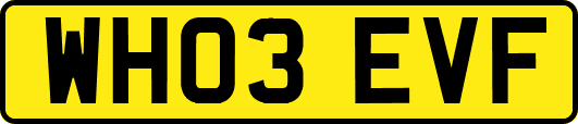 WH03EVF