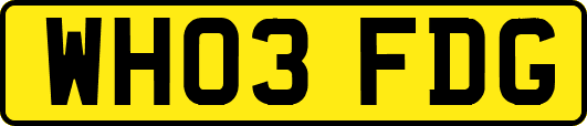 WH03FDG