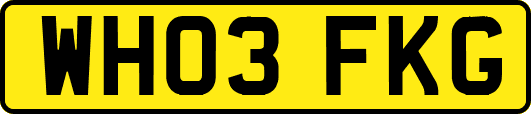 WH03FKG