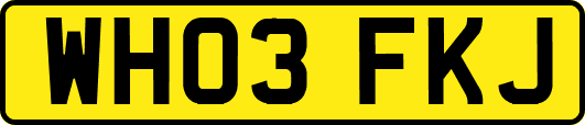 WH03FKJ