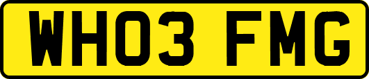 WH03FMG