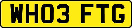 WH03FTG