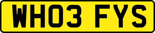 WH03FYS