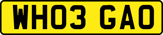 WH03GAO
