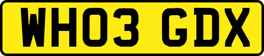 WH03GDX