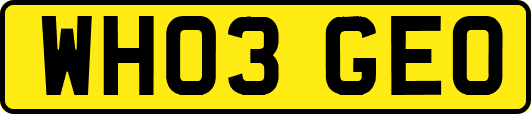 WH03GEO