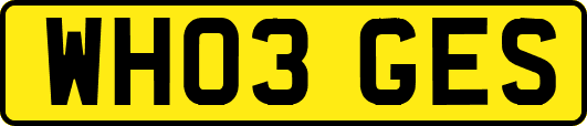 WH03GES