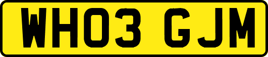 WH03GJM