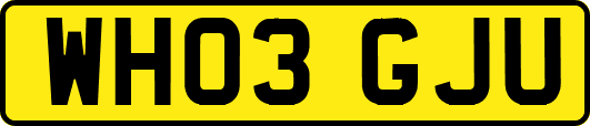 WH03GJU