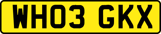 WH03GKX