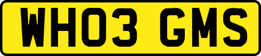 WH03GMS