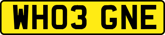 WH03GNE