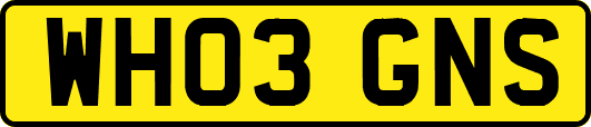 WH03GNS