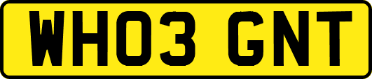 WH03GNT
