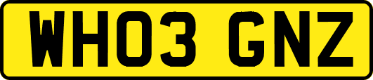 WH03GNZ