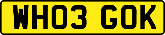 WH03GOK