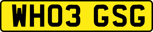 WH03GSG